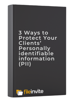 3 WAYS TO PROTECT YOUR CLIENTS PII (2)-1